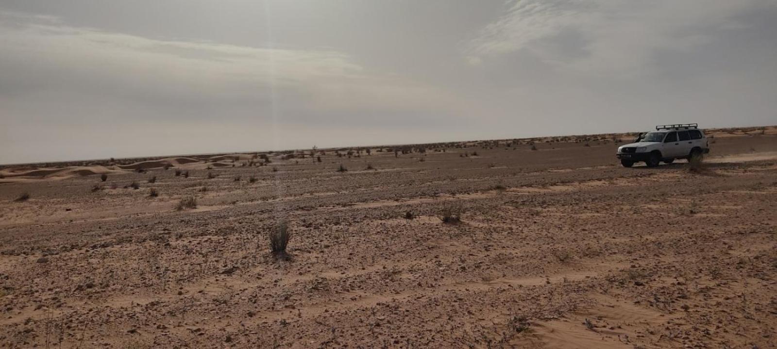 Dar Lagune Djerba Al Haddadah Exterior foto